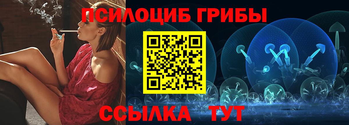 Псилоцибиновые грибы Cubensis Хасавюрт